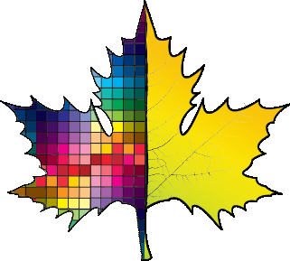 طرح و تصویر - تلویزیون شهری ارومیه